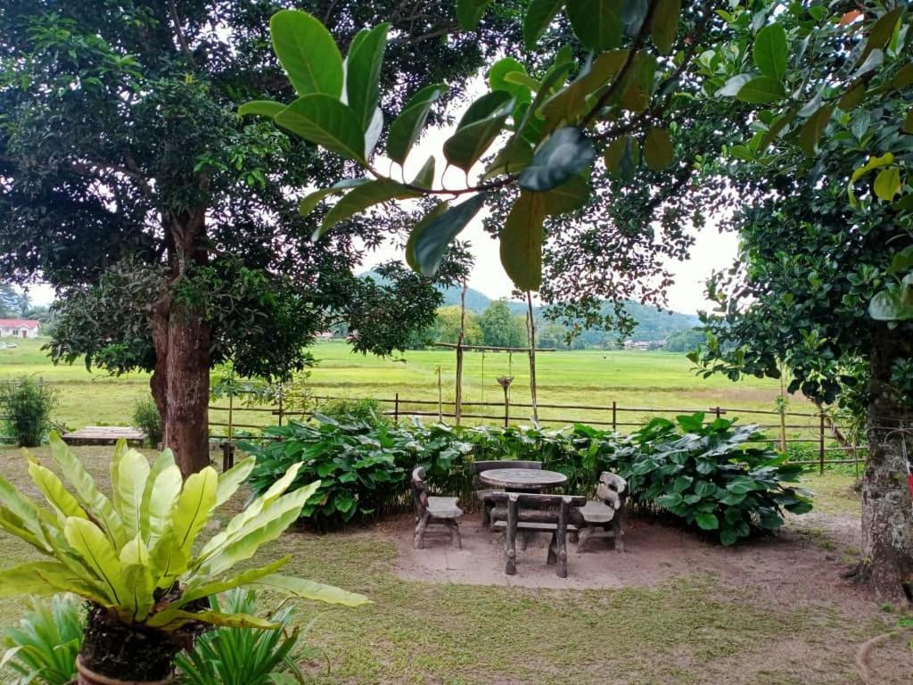 Kampung Tok Lembut Vacation Home Pantai Cenang  Dış mekan fotoğraf