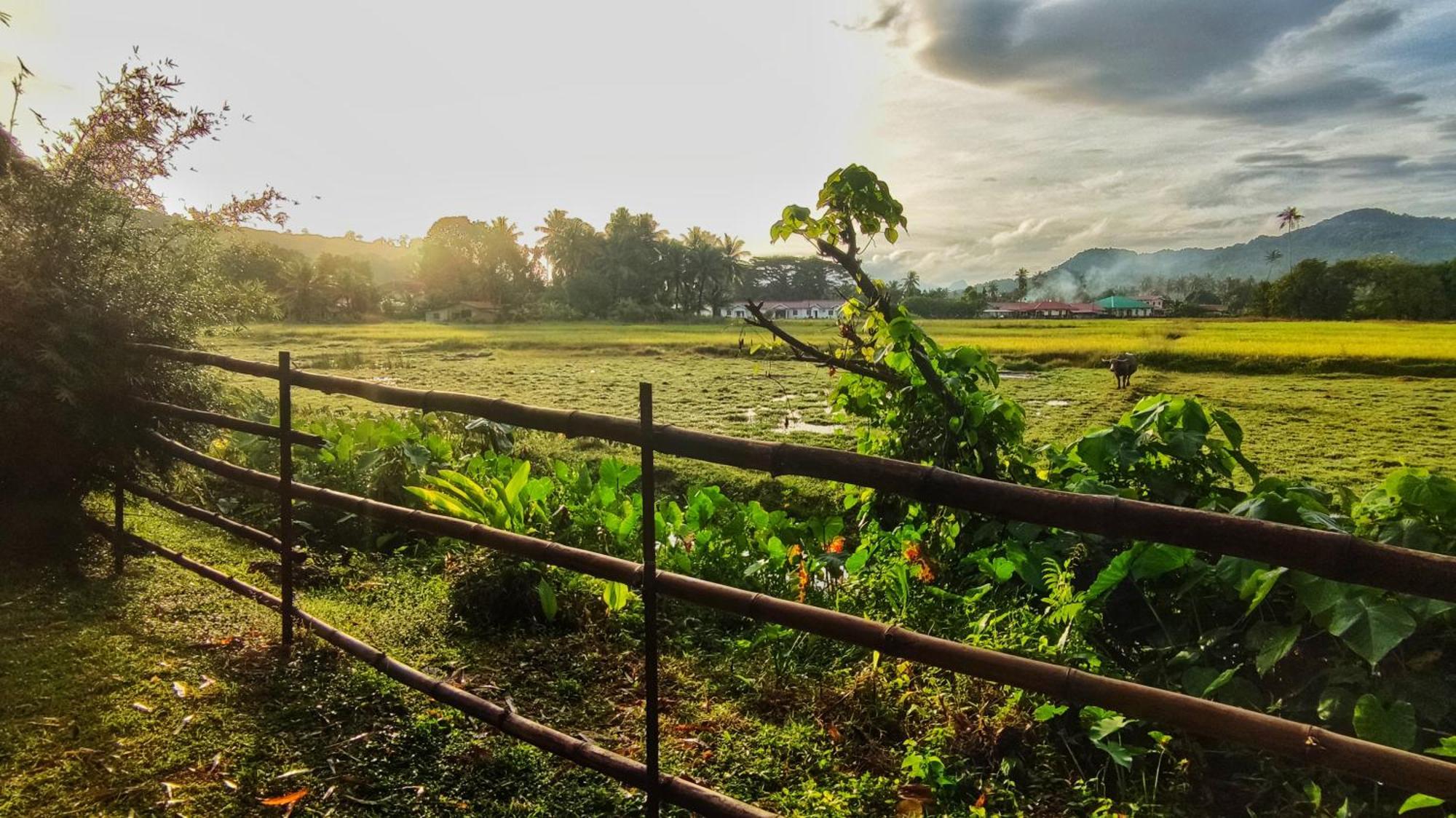 Kampung Tok Lembut Vacation Home Pantai Cenang  Dış mekan fotoğraf